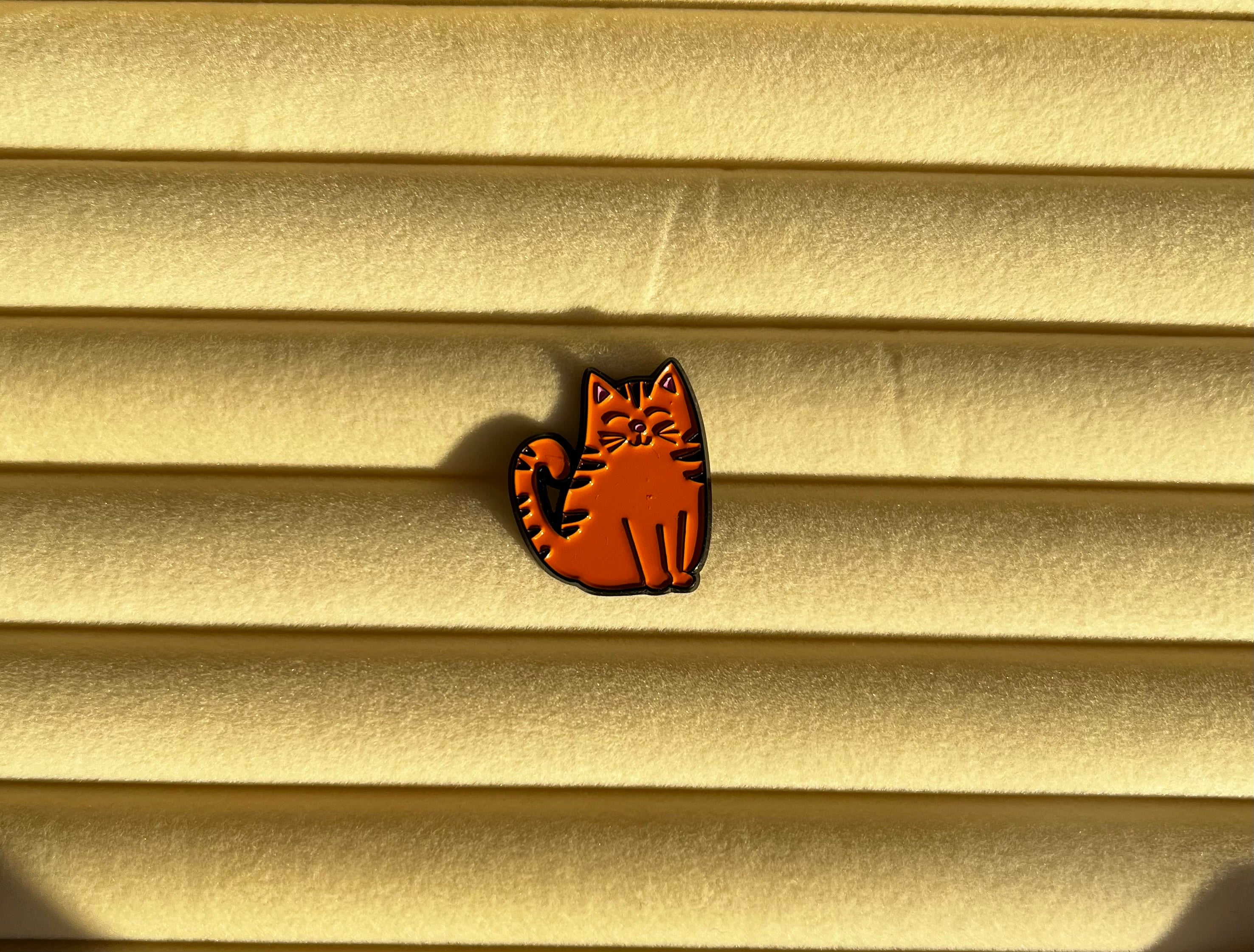 pin kat oranje