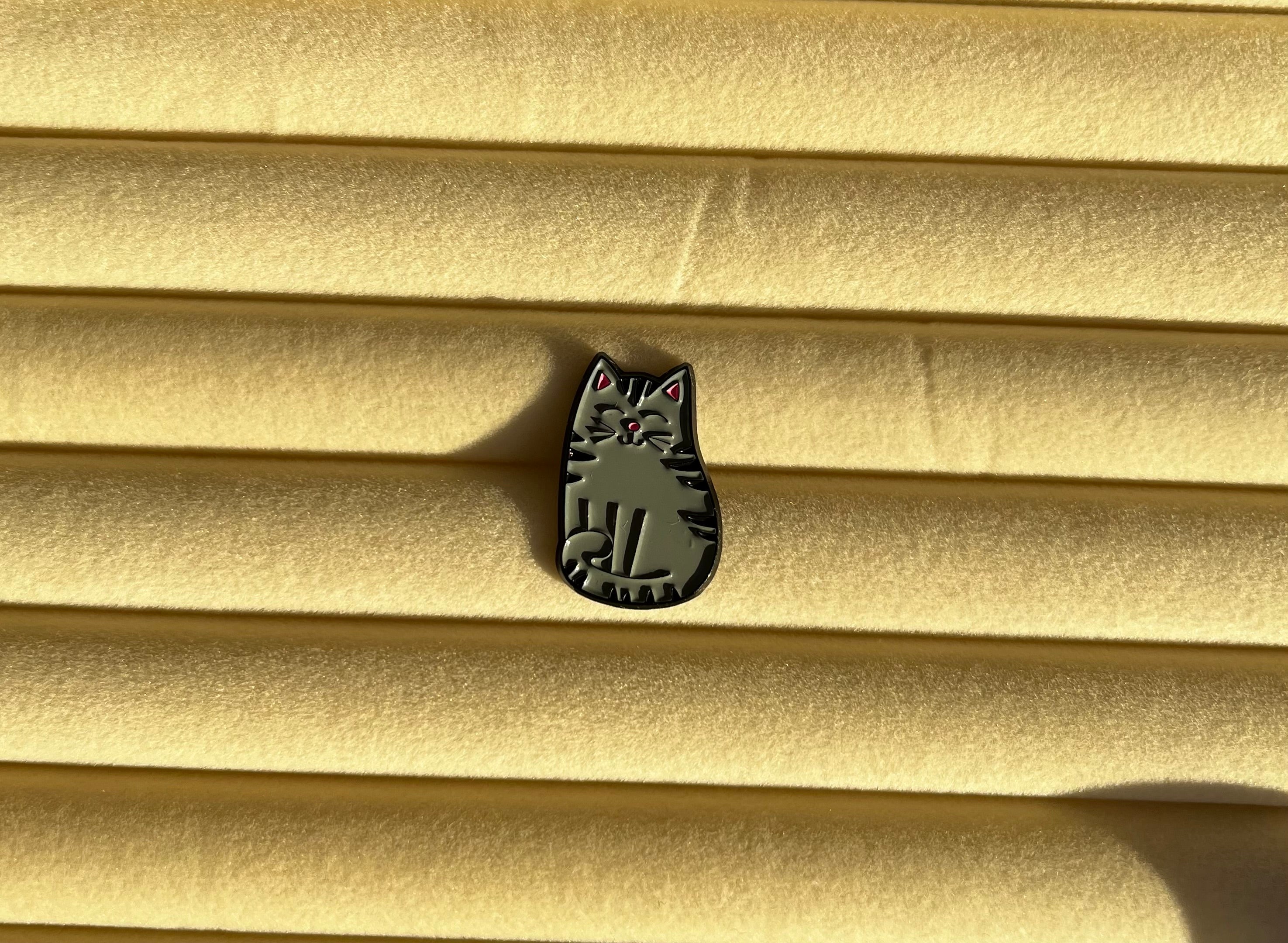 pin grijze kat