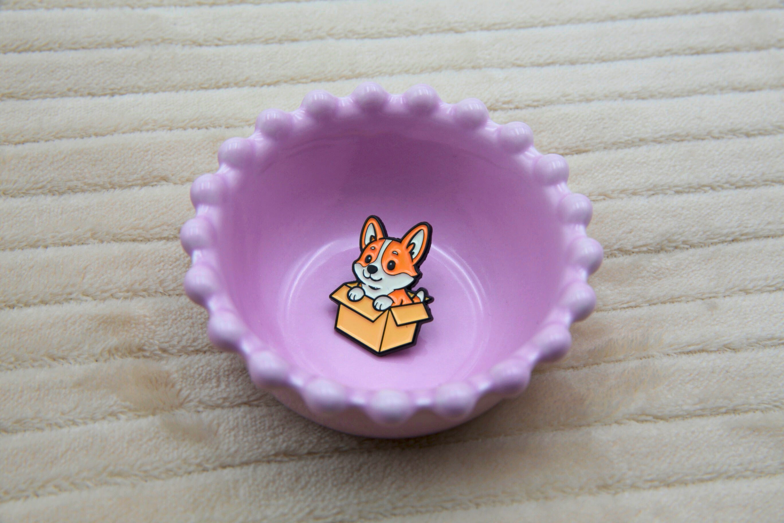 pin corgi