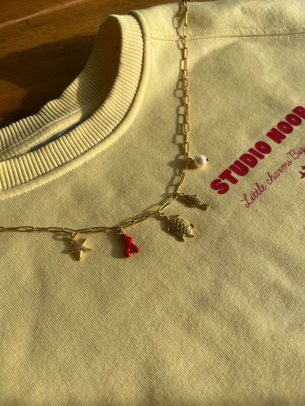 Bedelketting Ocea