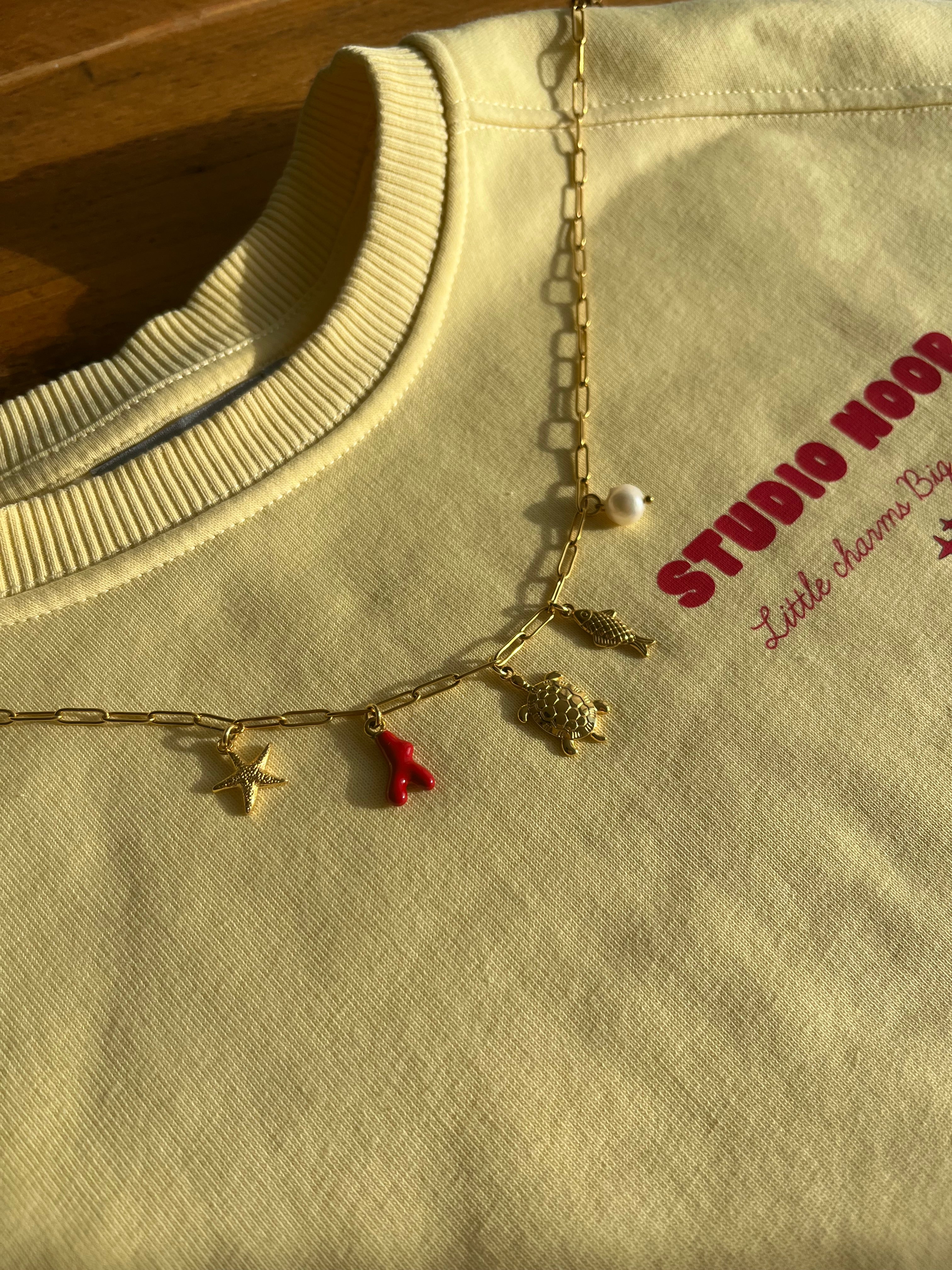 Bedelketting Ocea