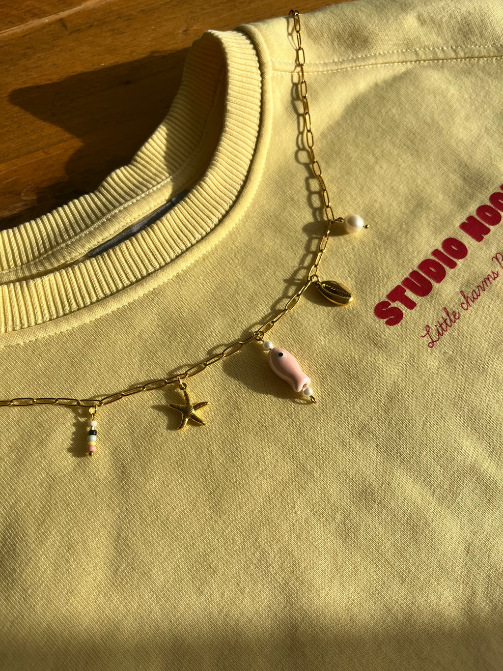 Bedelketting Marine