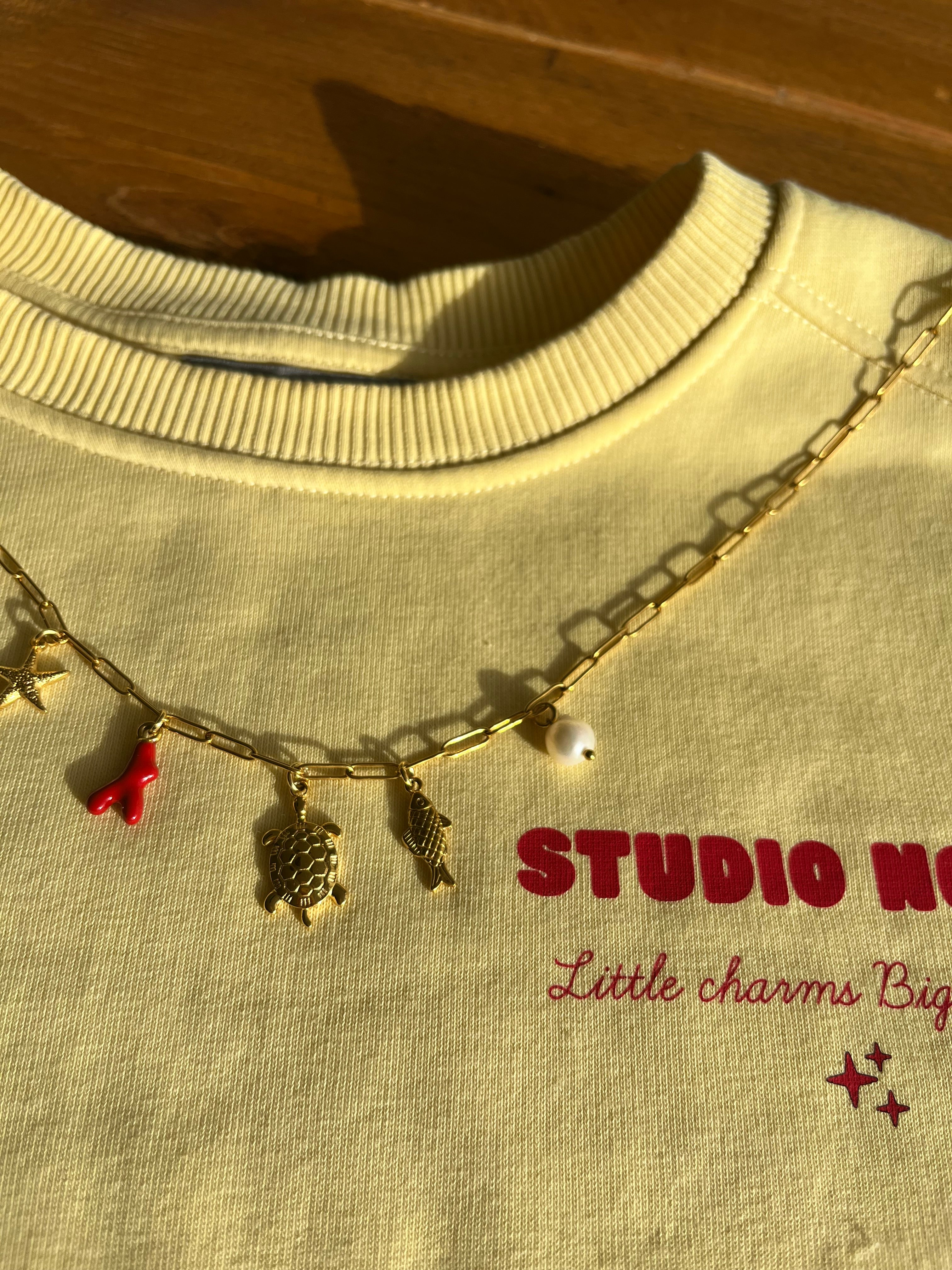 Bedelketting Ocea